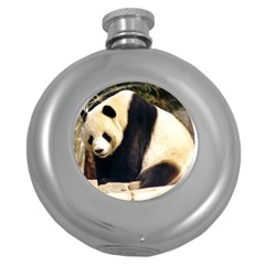 Giant Panda National Zoo Hip Flask (5 Oz)