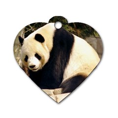 Giant Panda National Zoo Dog Tag Heart (one Side)