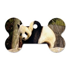 Giant Panda National Zoo Dog Tag Bone (one Side)