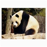 Giant Panda National Zoo Glasses Cloth (Large) Front