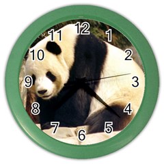 Giant Panda National Zoo Color Wall Clock