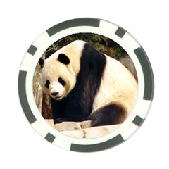 Giant Panda National Zoo Poker Chip Card Guard