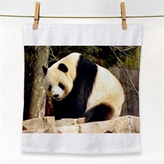 Giant Panda National Zoo Face Towel