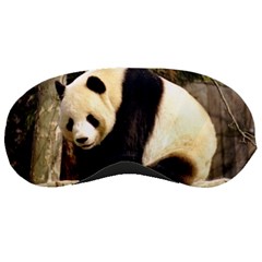 Giant Panda National Zoo Sleeping Mask