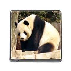 Giant Panda National Zoo Memory Card Reader With Storage (square) by rainbowberry