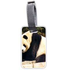 Giant Panda National Zoo Luggage Tag (one Side)