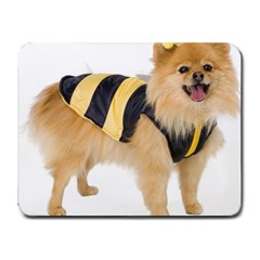 My-dog-photo Small Mousepad by knknjkknjdd