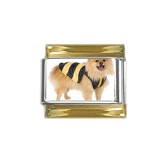 My-dog-photo Gold Trim Italian Charm (9mm)