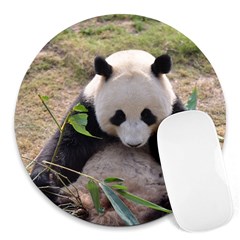 Big Panda Round Mousepad