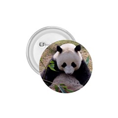 Big Panda 1 75  Button by dropshipcnnet