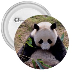 Big Panda 3  Button