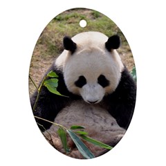 Big Panda Ornament (oval)