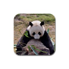 Big Panda Rubber Square Coaster (4 Pack)