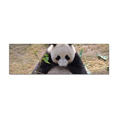 Big Panda Sticker (bumper) by dropshipcnnet