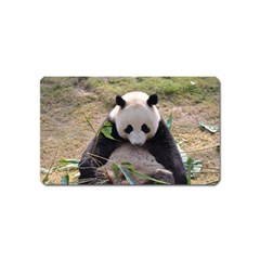 Big Panda Magnet (name Card)