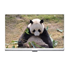 Big Panda Business Card Holder