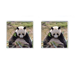 Big Panda Cufflinks (square)