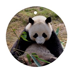 Big Panda Round Ornament (two Sides)