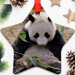 Big Panda Star Ornament (two Sides) by dropshipcnnet