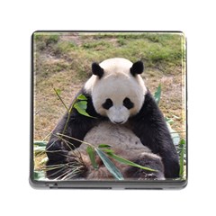 Big Panda Memory Card Reader With Storage (square)