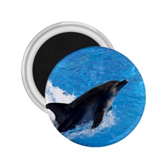 Swimming Dolphin 2 25  Magnet by knknjkknjdd