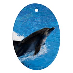 Swimming Dolphin Ornament (oval)