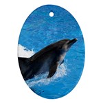 Swimming Dolphin Ornament (Oval) Front