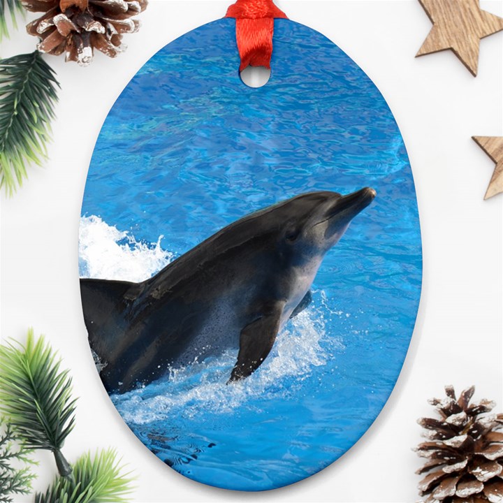 Swimming Dolphin Ornament (Oval)