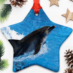 Swimming Dolphin Ornament (star)