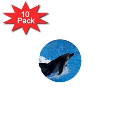 Swimming Dolphin 1  Mini Button (10 Pack)  by knknjkknjdd