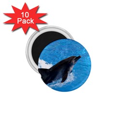 Swimming Dolphin 1 75  Magnet (10 Pack)  by knknjkknjdd