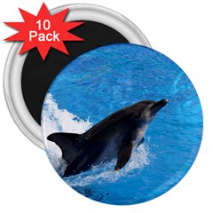 Swimming Dolphin 3  Magnet (10 Pack) by knknjkknjdd