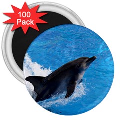 Swimming Dolphin 3  Magnet (100 Pack) by knknjkknjdd