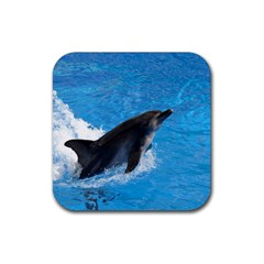 Swimming Dolphin Rubber Coaster (square) by knknjkknjdd