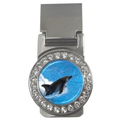 Swimming Dolphin Money Clip (cz)