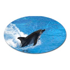 Swimming Dolphin Magnet (oval) by knknjkknjdd