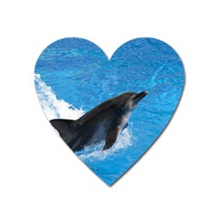 Swimming Dolphin Magnet (heart) by knknjkknjdd