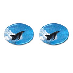 Swimming Dolphin Cufflinks (oval) by knknjkknjdd