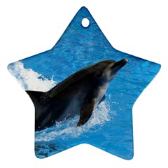 Swimming Dolphin Star Ornament (two Sides)