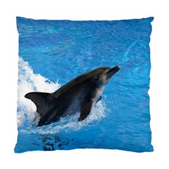 Swimming Dolphin Cushion Case (one Side) by knknjkknjdd