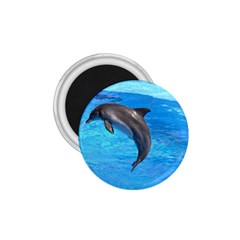 Jumping Dolphin 1 75  Magnet by dropshipcnnet