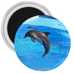 Jumping Dolphin 3  Magnet by dropshipcnnet