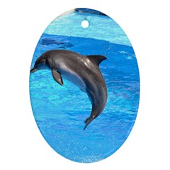 Jumping Dolphin Ornament (Oval)