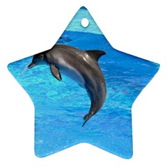 Jumping Dolphin Ornament (star)