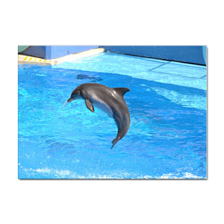 Jumping Dolphin Sticker A4 (100 pack)