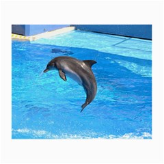 Jumping Dolphin Glasses Cloth (small, Two Sides) by dropshipcnnet