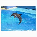 Jumping Dolphin Glasses Cloth (Large, Two Sides) Front