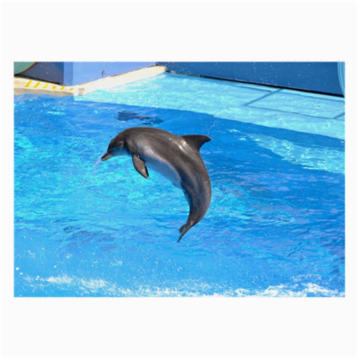 Jumping Dolphin Glasses Cloth (Large, Two Sides)