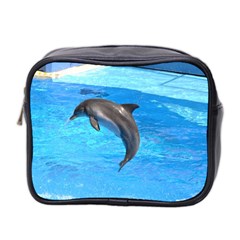 Jumping Dolphin Mini Toiletries Bag (two Sides)