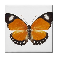 Butterfly Insect Ceramic Tile